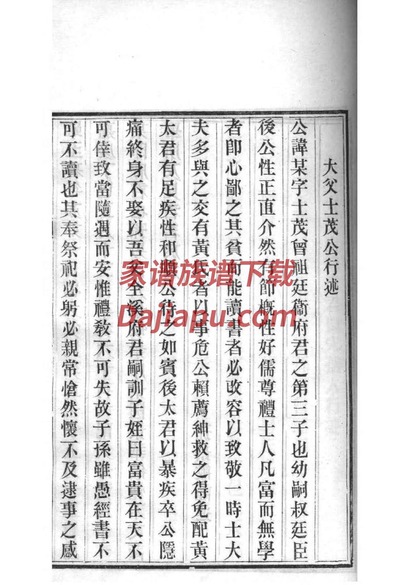 家谱封面纸