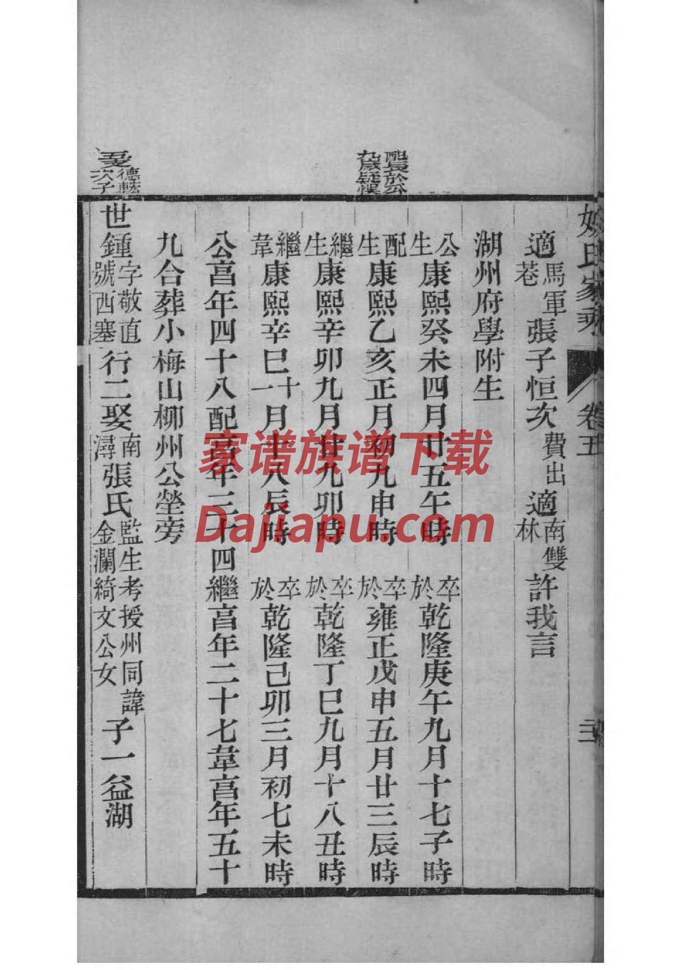 简单画一张家谱图初中
