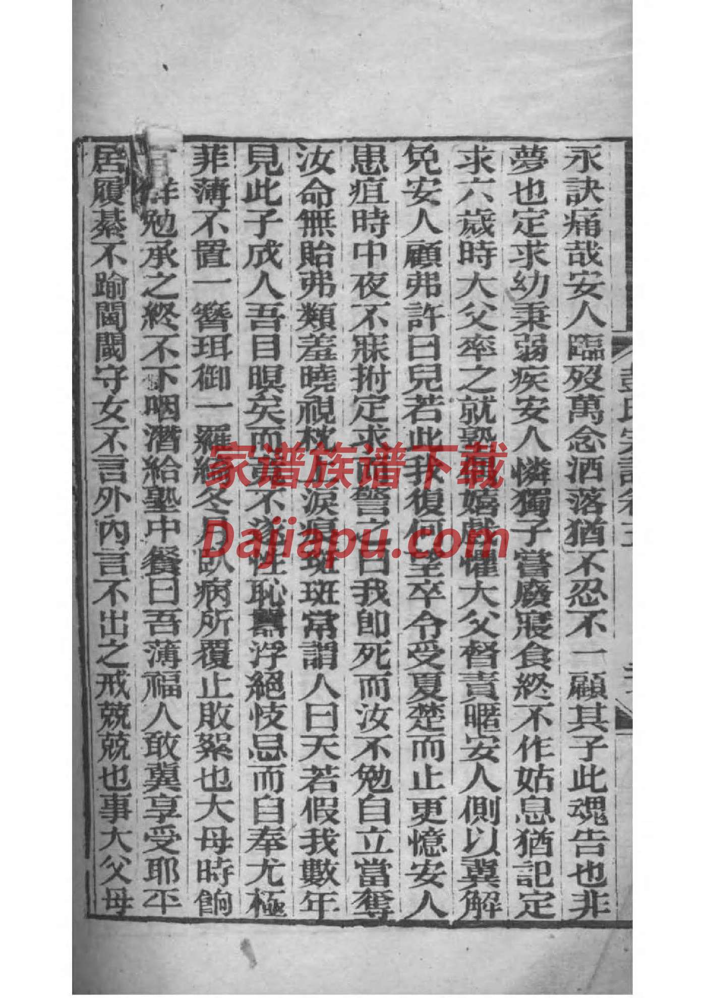 族记家谱使用说明