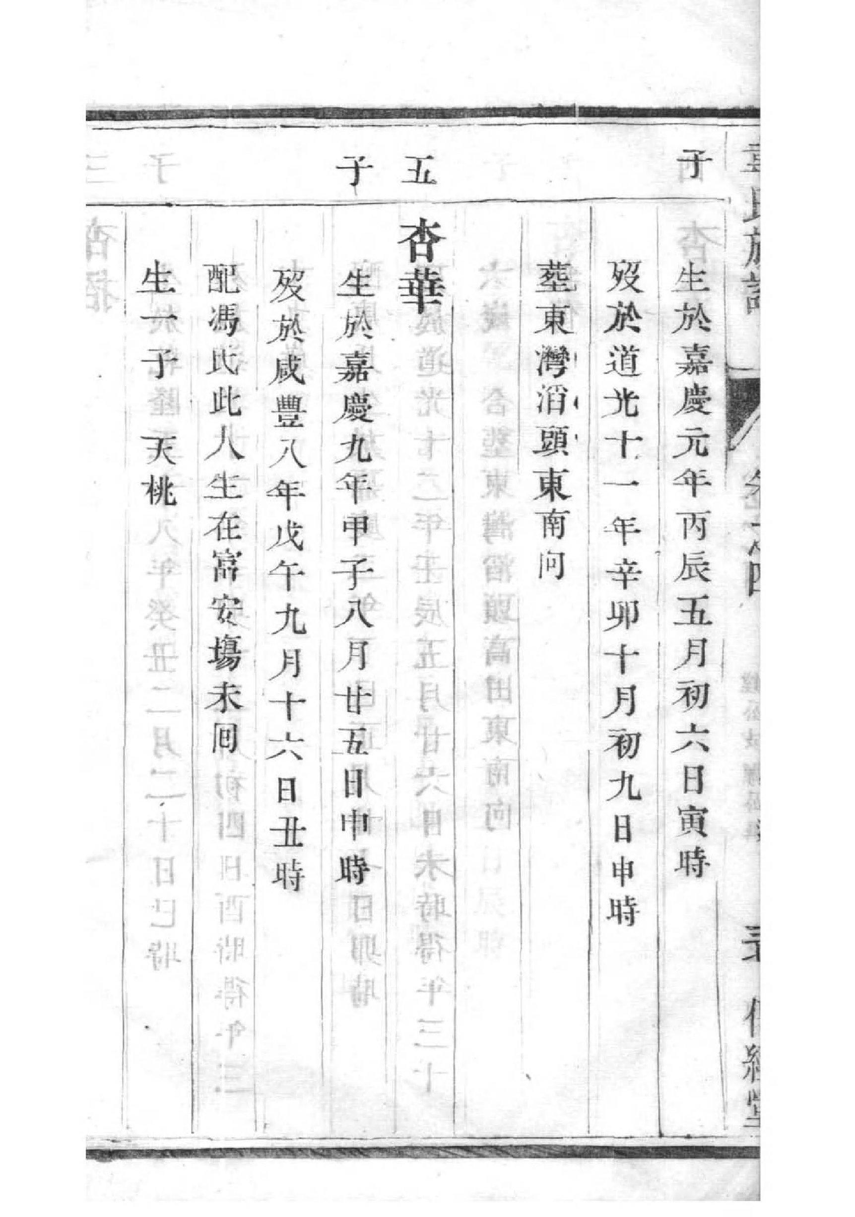 张氏族谱在哪