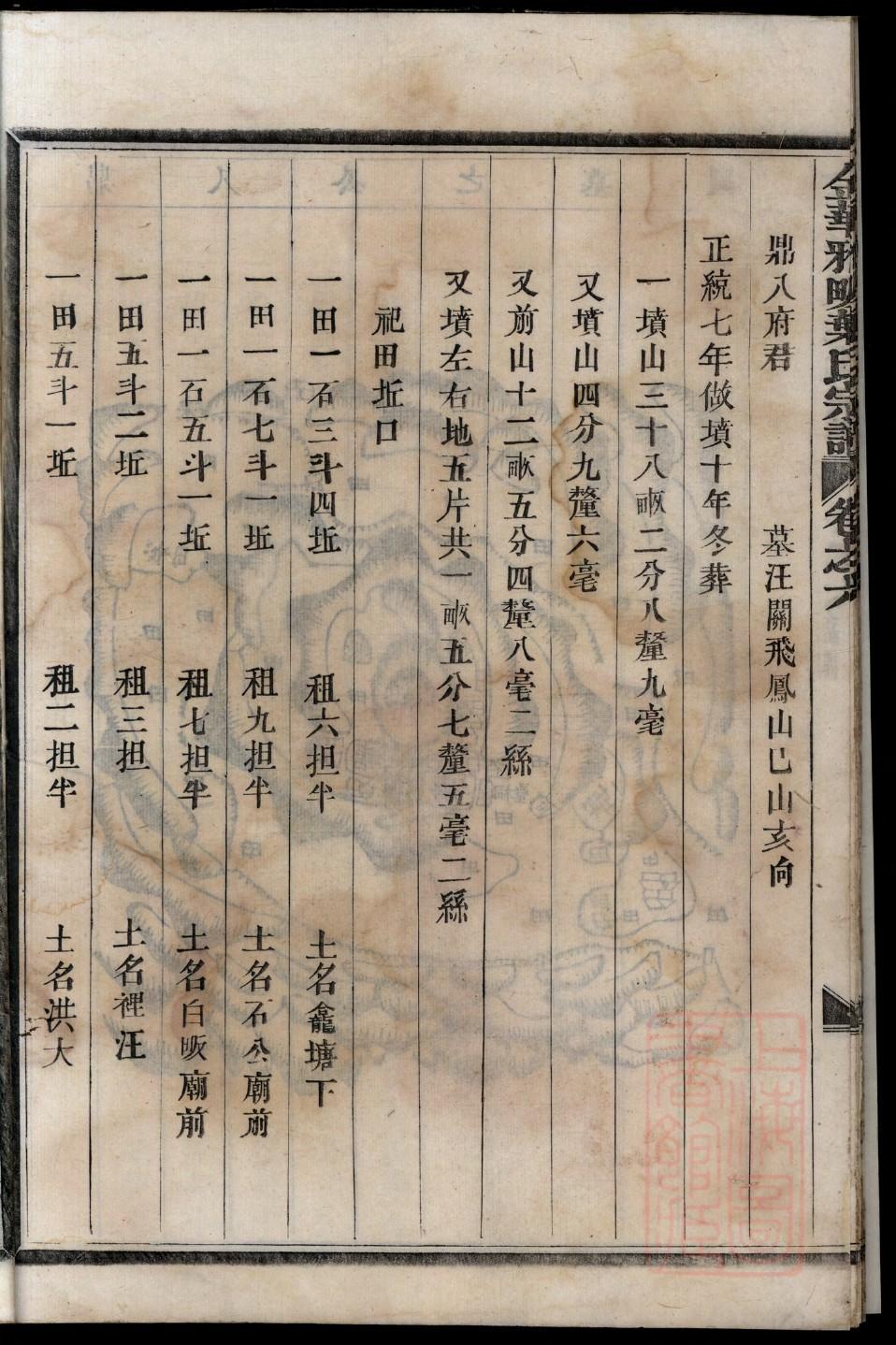 家谱PDF