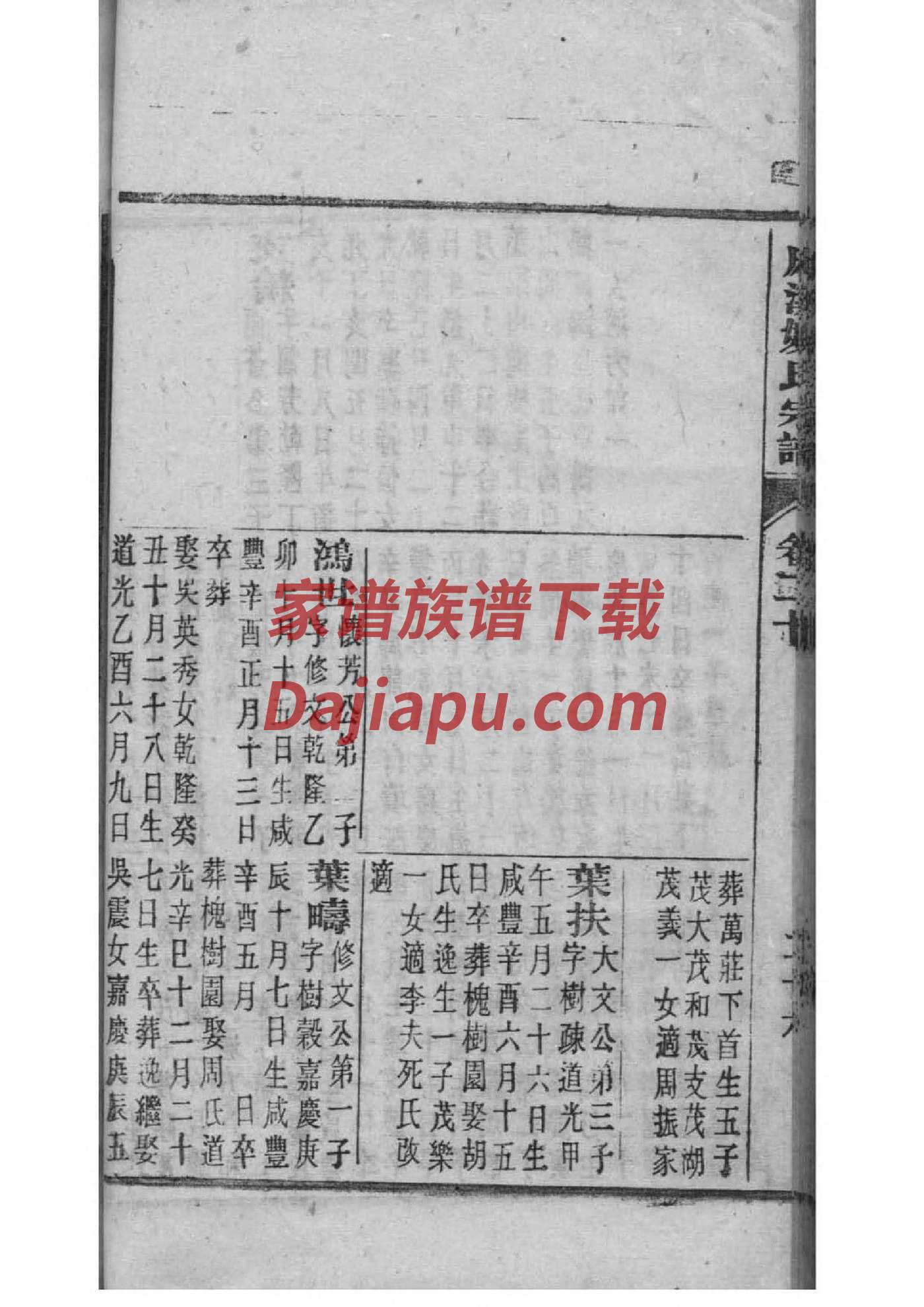 南阳许家家谱