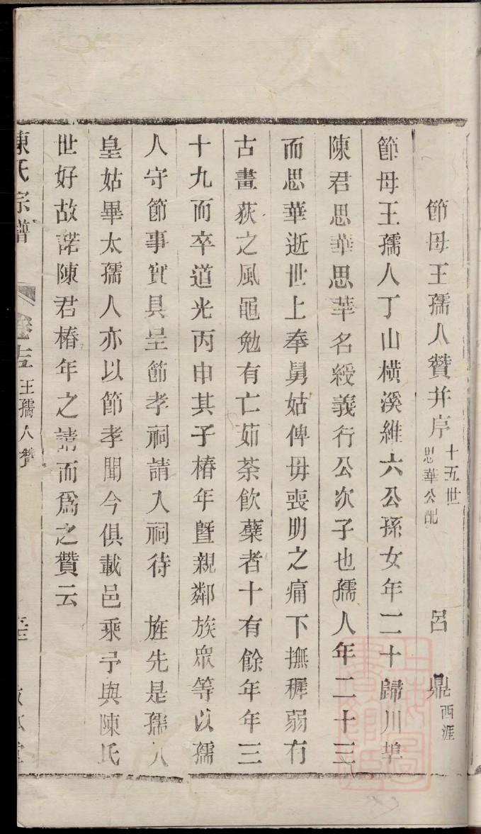 菅氏家谱所有字辈查询