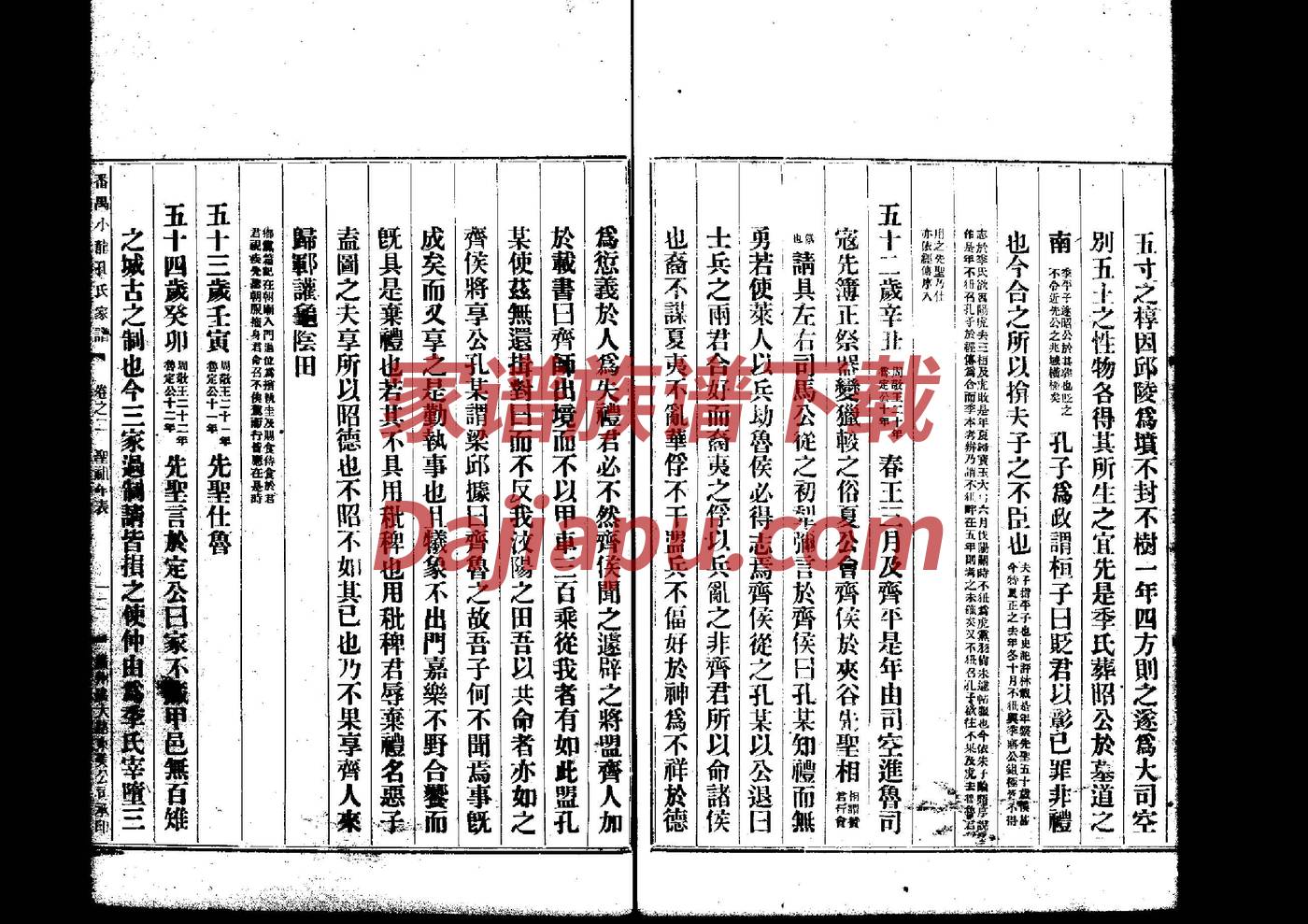 税氏的起源