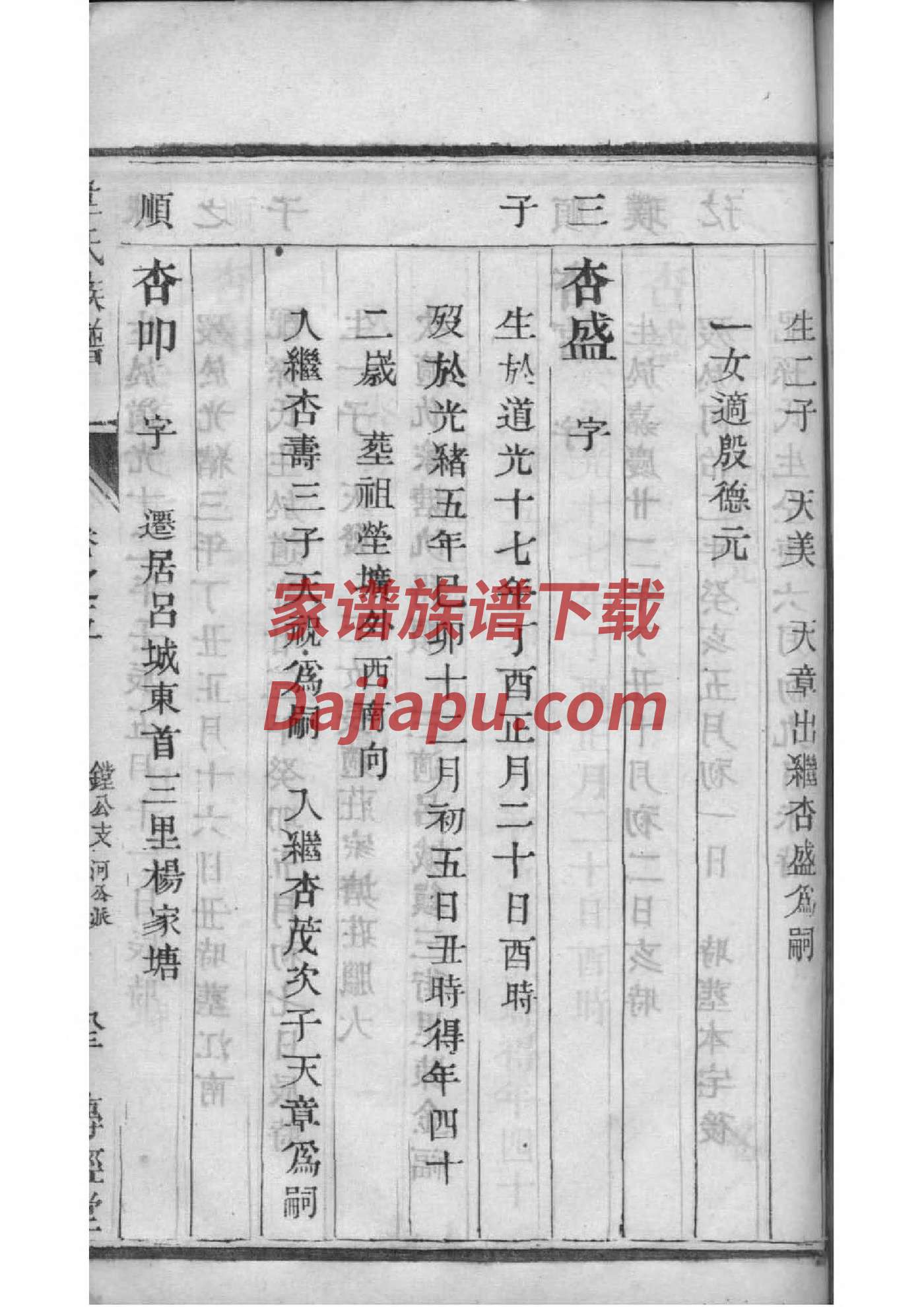 类姓辈分排行世系表