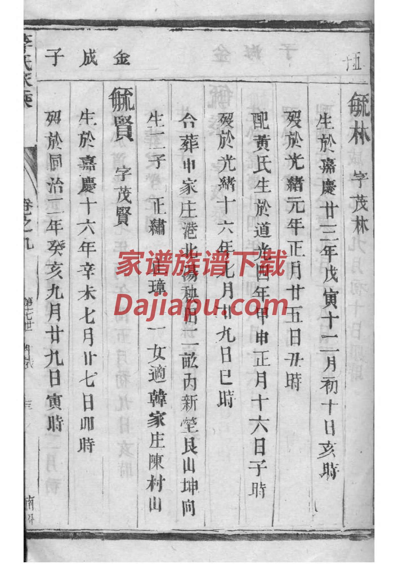 裴家家谱