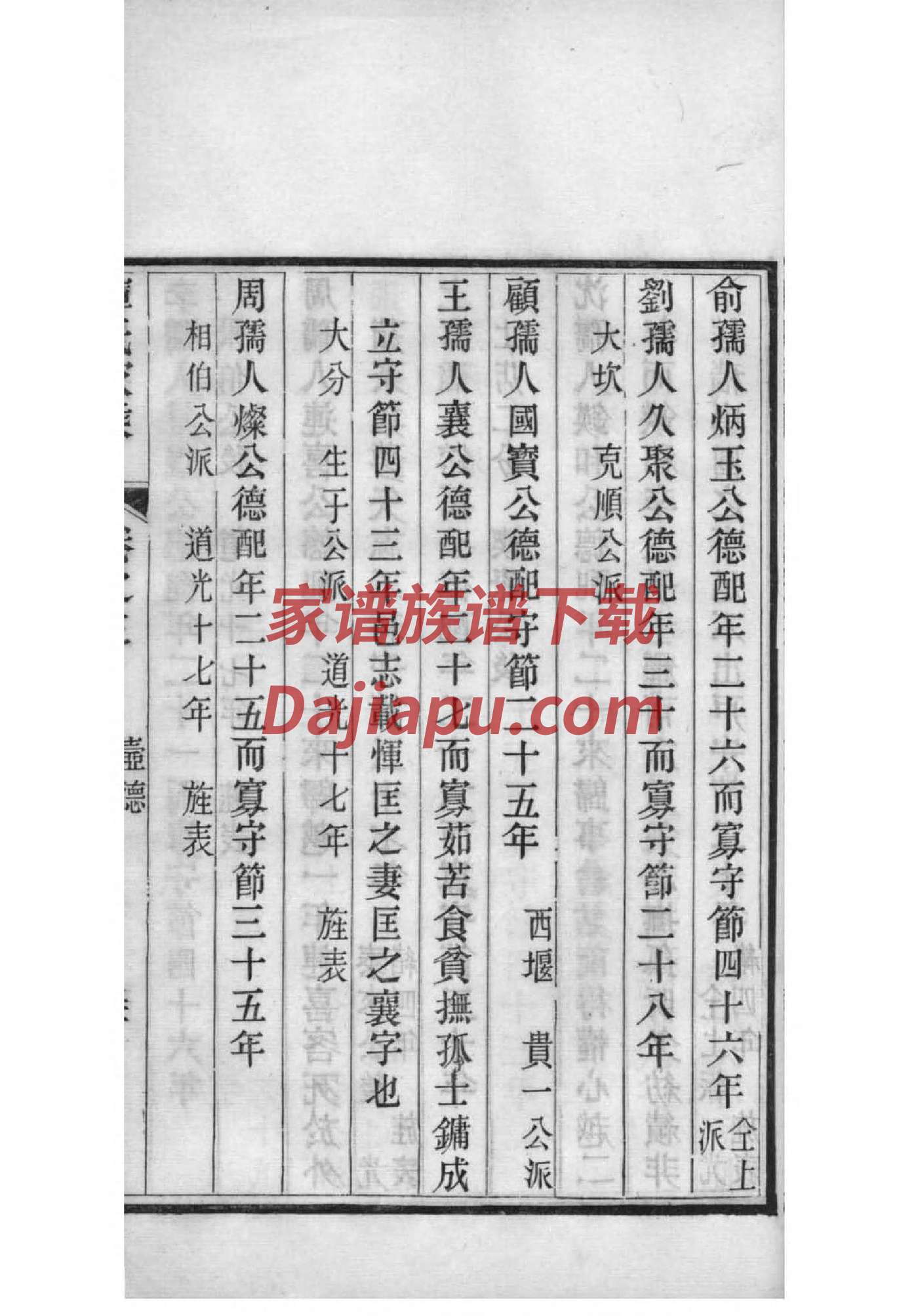 蝙蝠家族家谱