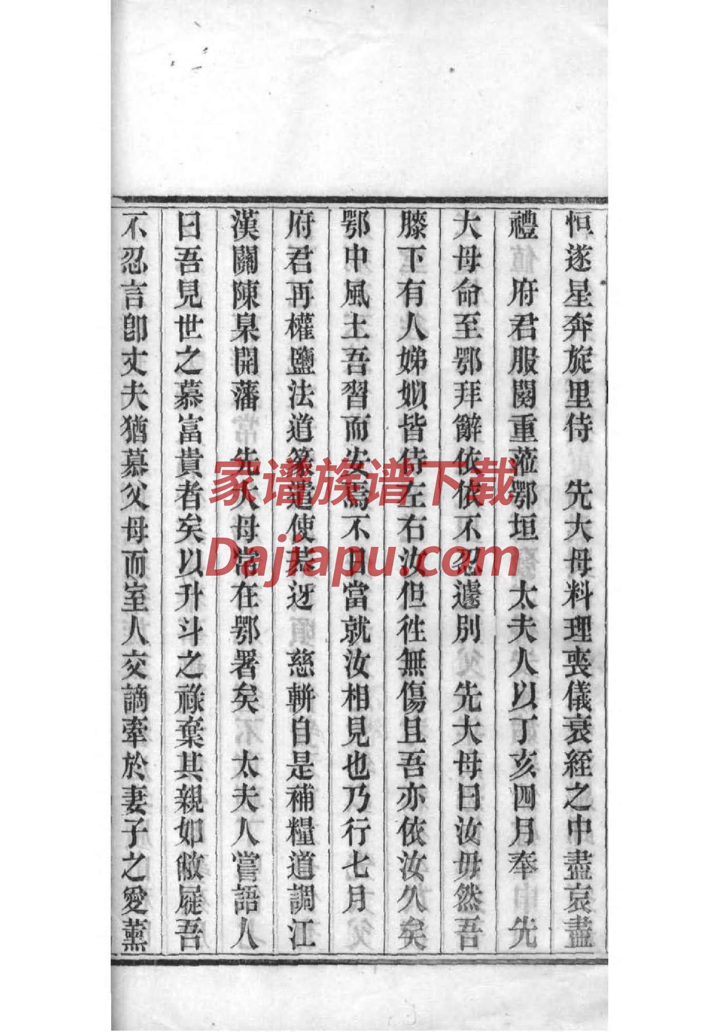 网上家谱查询