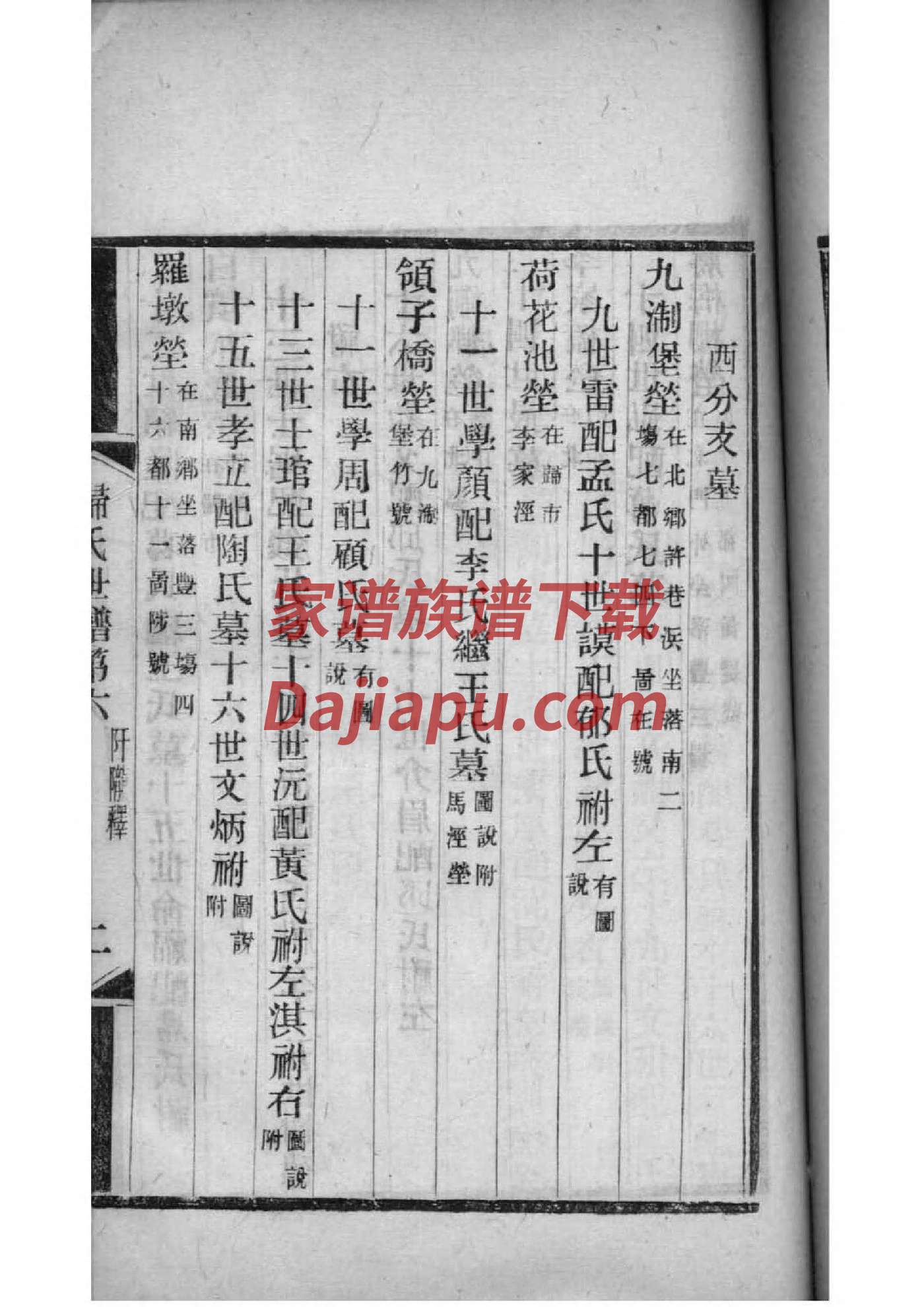 掌氏族谱电子版下载阅读